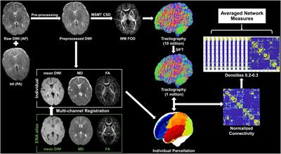 Early Development and the Functional Correlation of Brain Structural Connectivity in Preterm-Born Infants